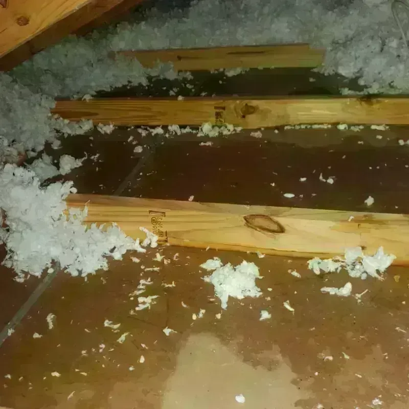 Attic Water Damage in Bartolo, PR